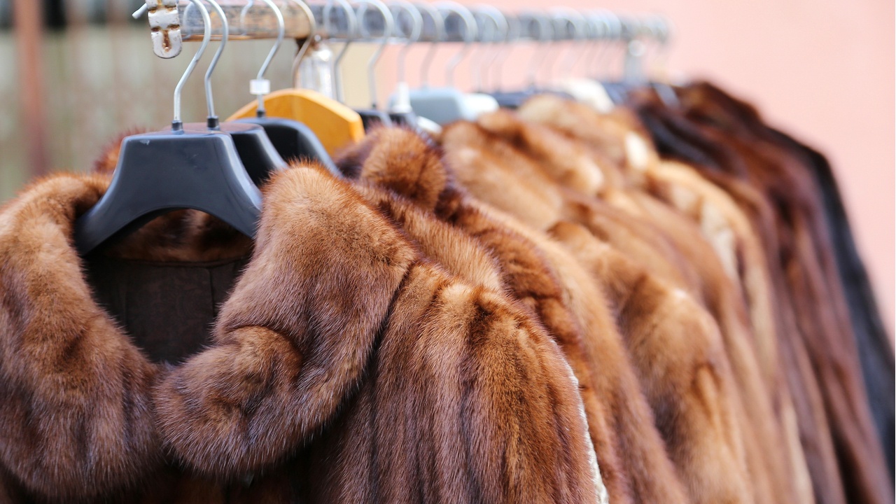 The luxury conglomerate Kering has announced a total ban on animal fur across all its brands, a move millennial and Gen-Z consumers have demanded. Photo: Shutterstock