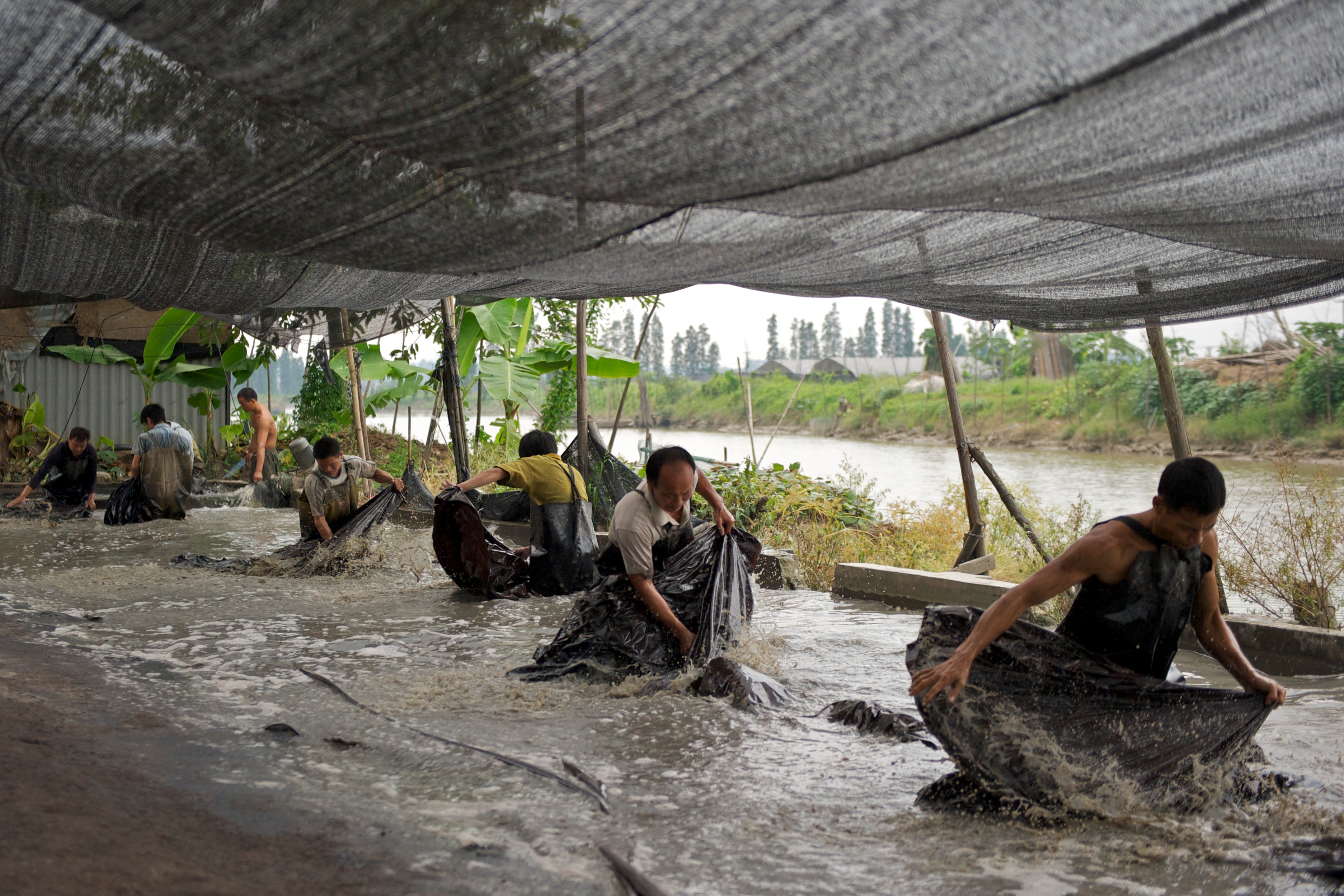 Workers removing the mud from the tea silk at the end of the dyeing process. (Dirk Vahldiek and Kathrin von Rechenberg)