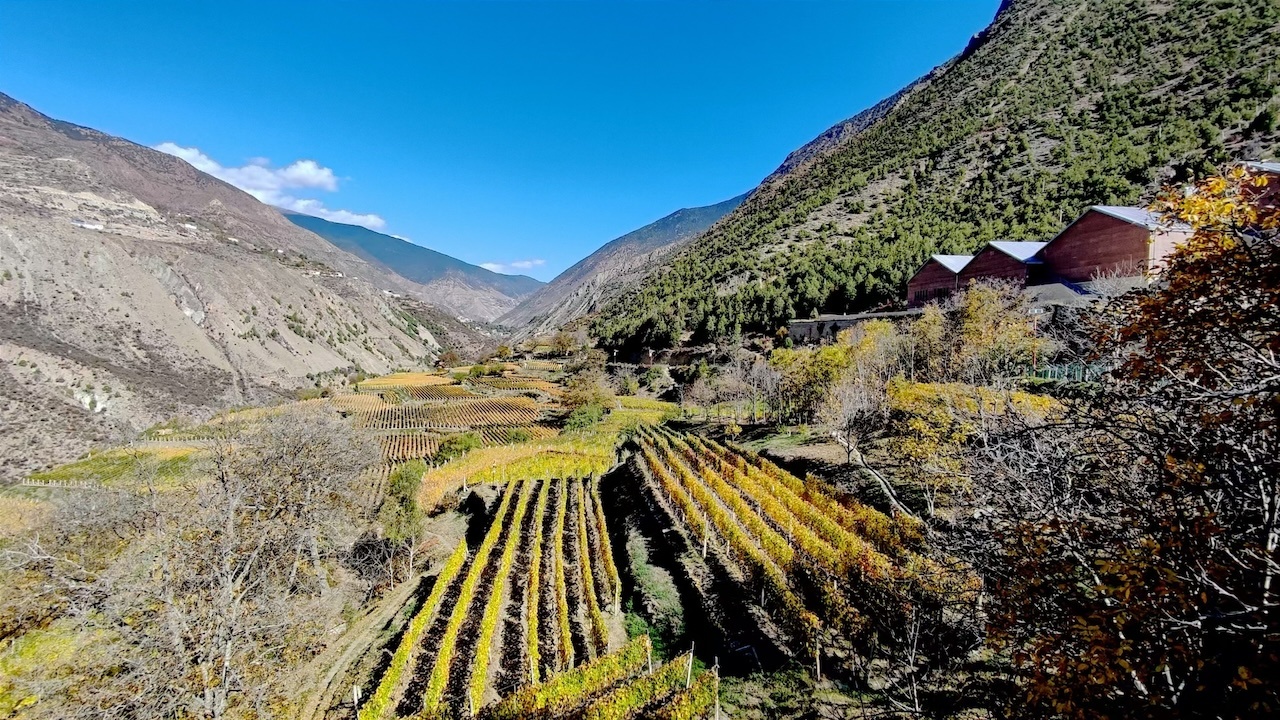 Wine production and quality have risen steadily in China's Yunnan province. Image: Grape Wall of China