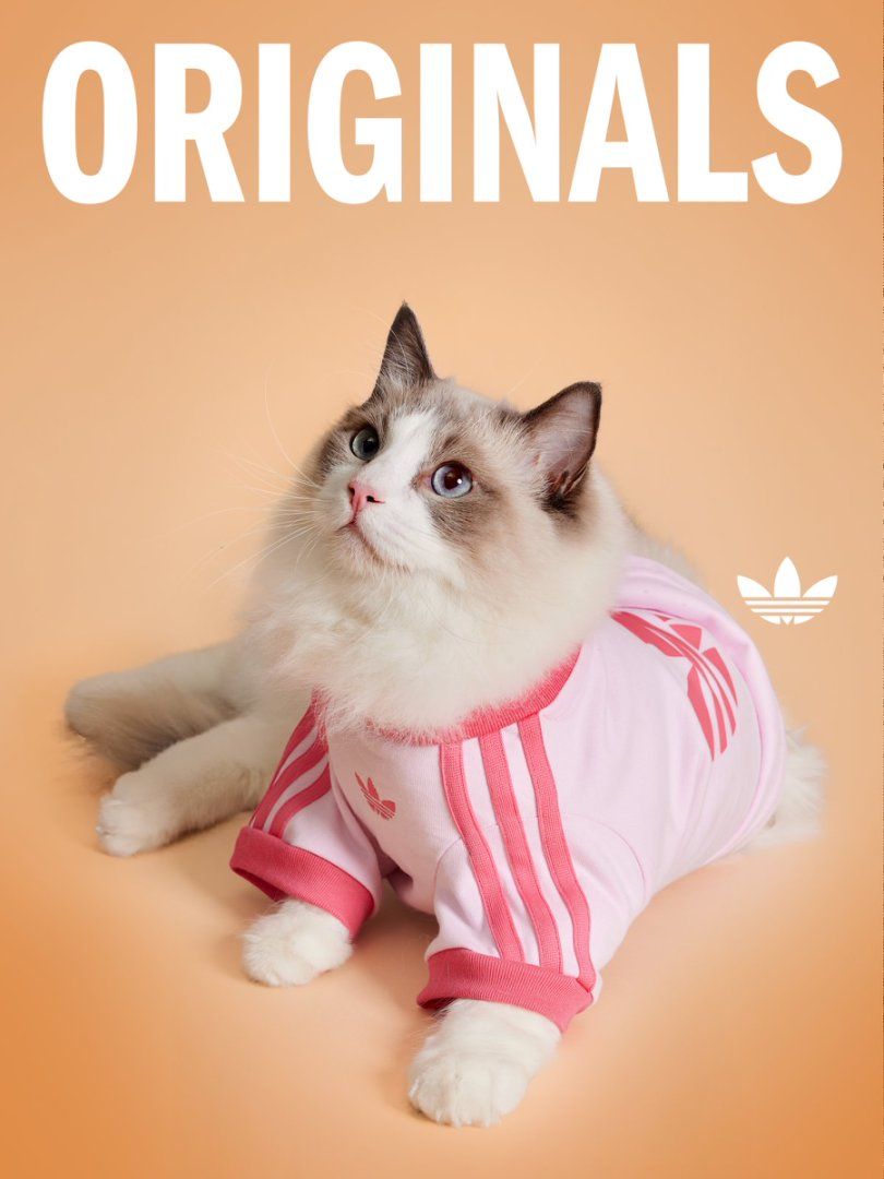 exclusive adidas clothes