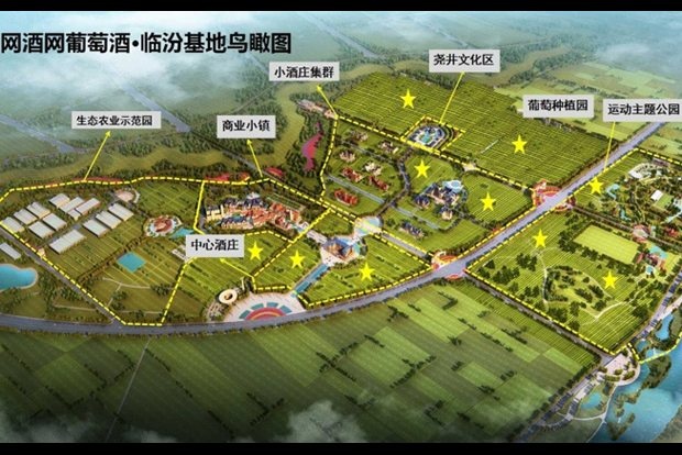 Chinese high-end e-tailer Wangjiu.com has taken to planting its own vineyard to provide for the domestic wine market better. (Wangjiu.com)