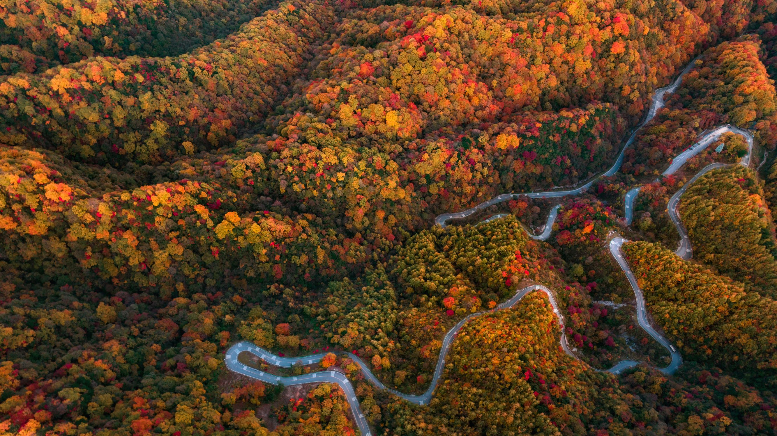 Paris Young Chinese turn to birdwatching, ecotourism Jing Daily