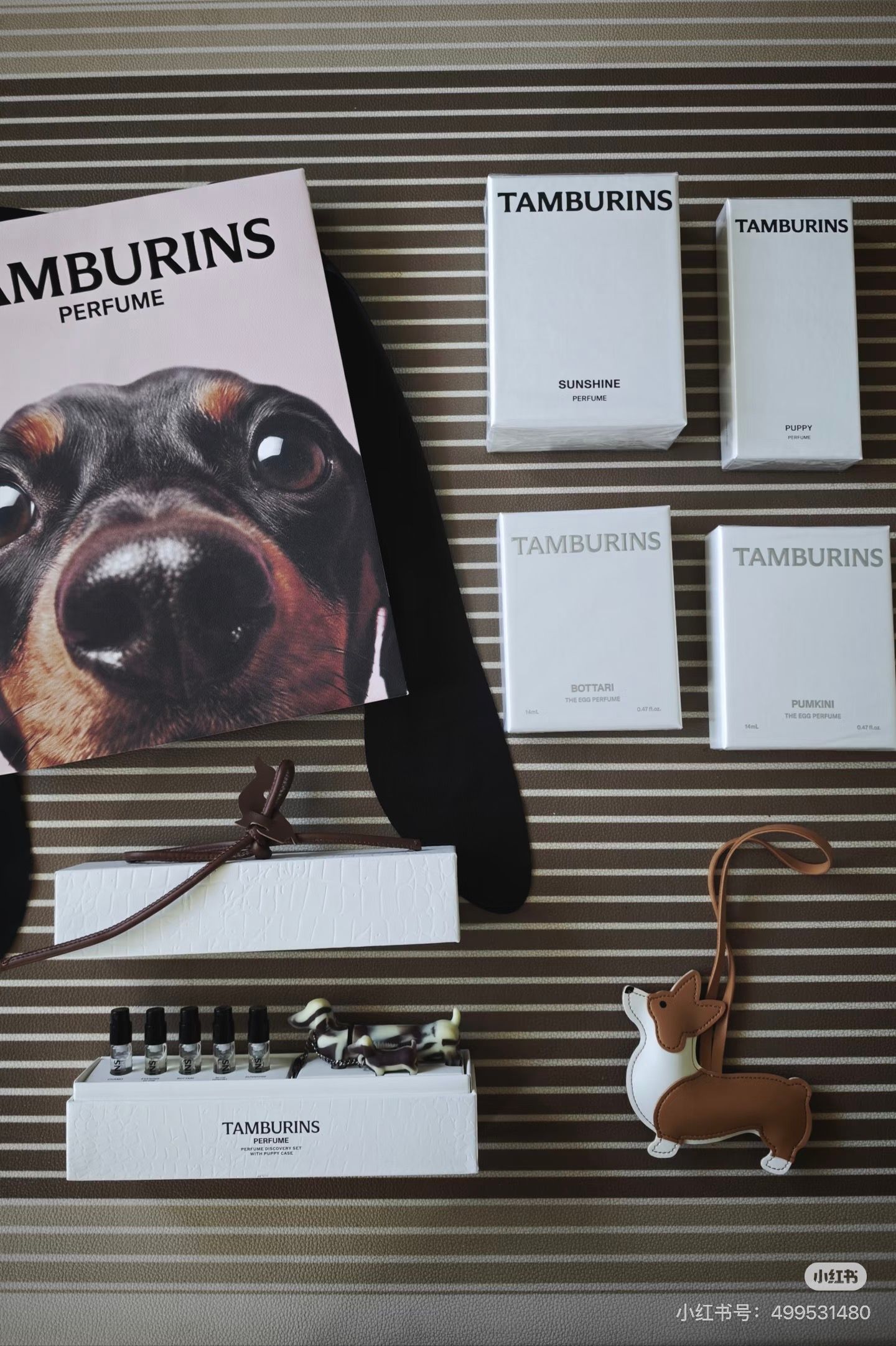 香水(ユニセックス) TAMBURINS discovery set with puppy case A K-pop star, a dachshund, and the future of scent | Jing Daily