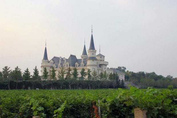 China's largest winemaker Changyu has seen falling profits as demand for red wine falls across the country. (Changyu)
