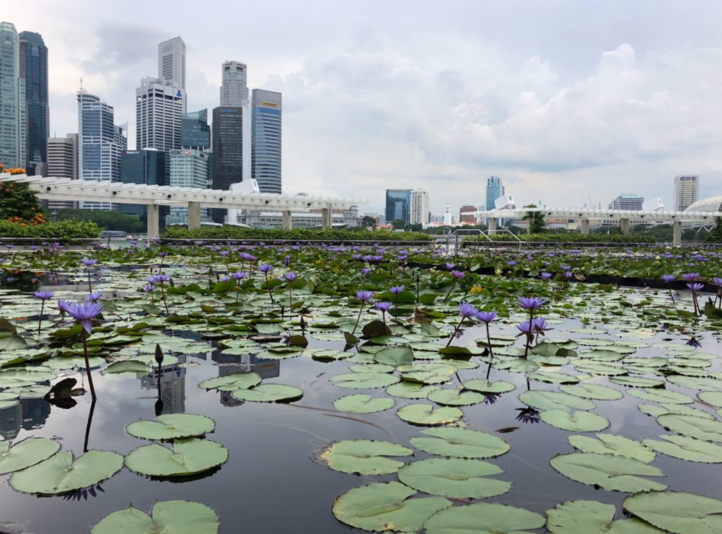 Singapore’s status as the country that attracts the highest spend from elite shoppers is fuelled by luxury watches and jewelry purchasing, according to Global Blue.