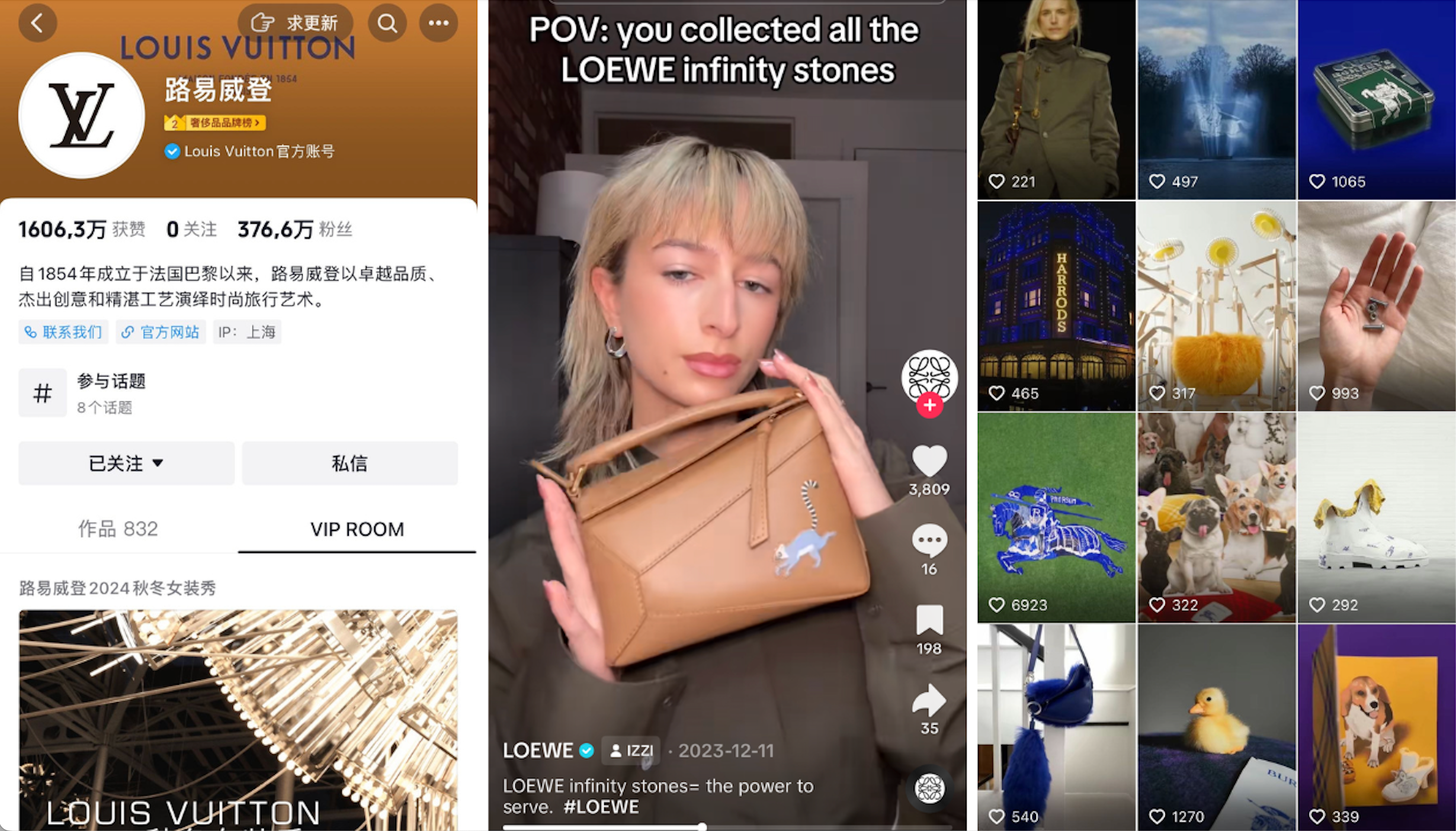 TikTok vs Douyin: What luxury brands need to know