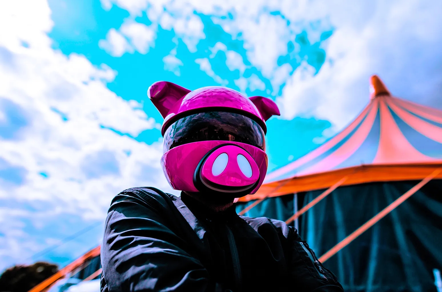 Bilde av Digital Farm Animals