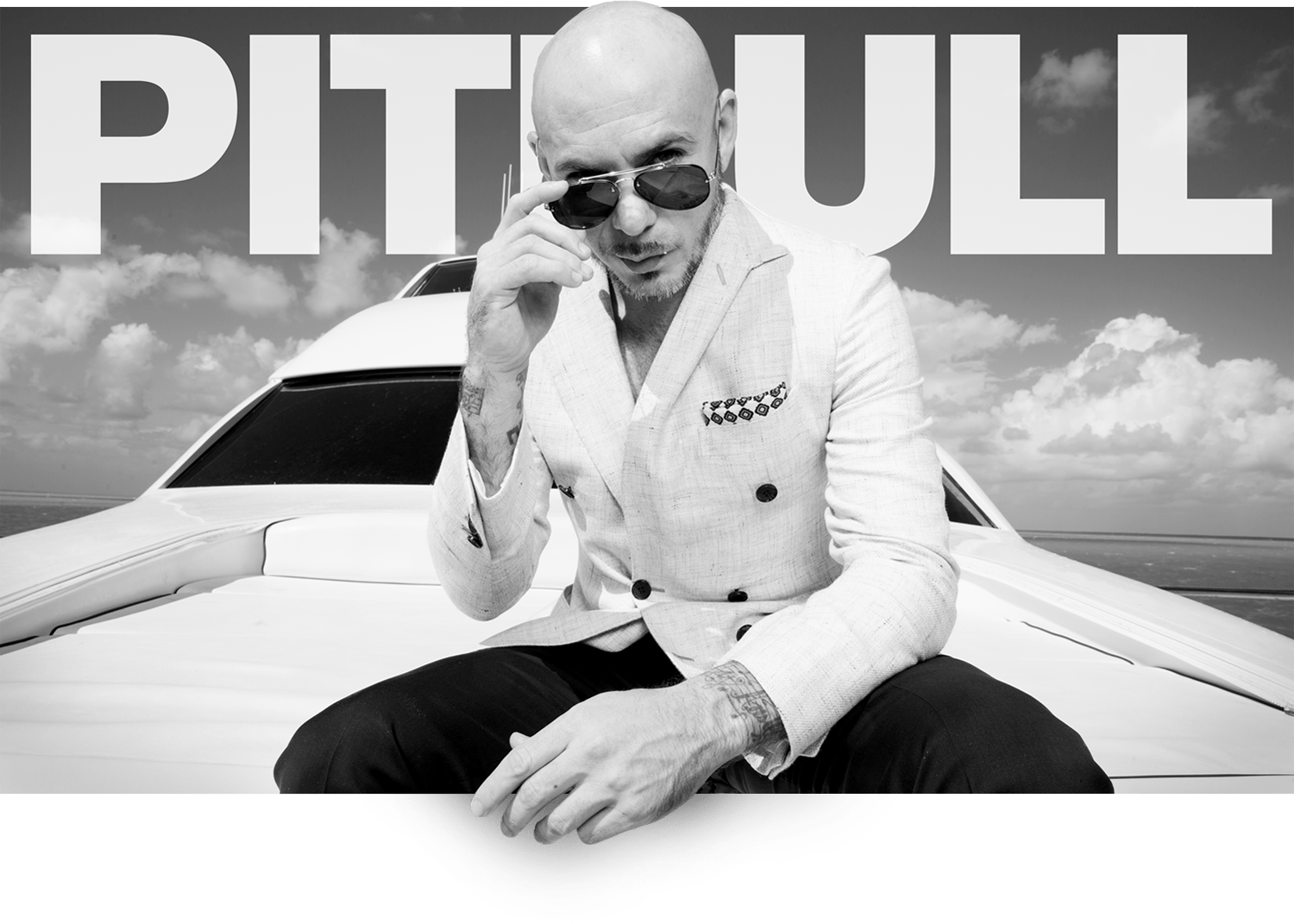 Bilde av Pitbull