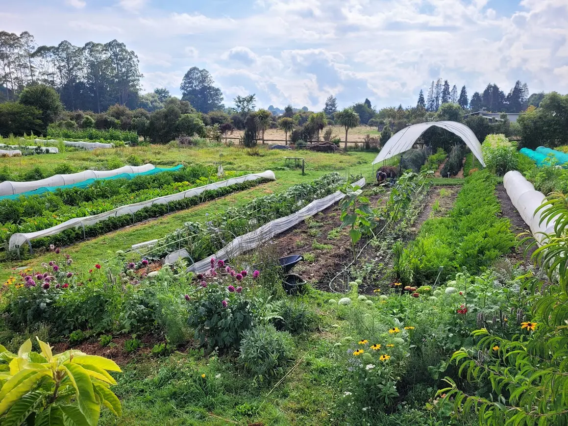 What is regenerative agriculture?