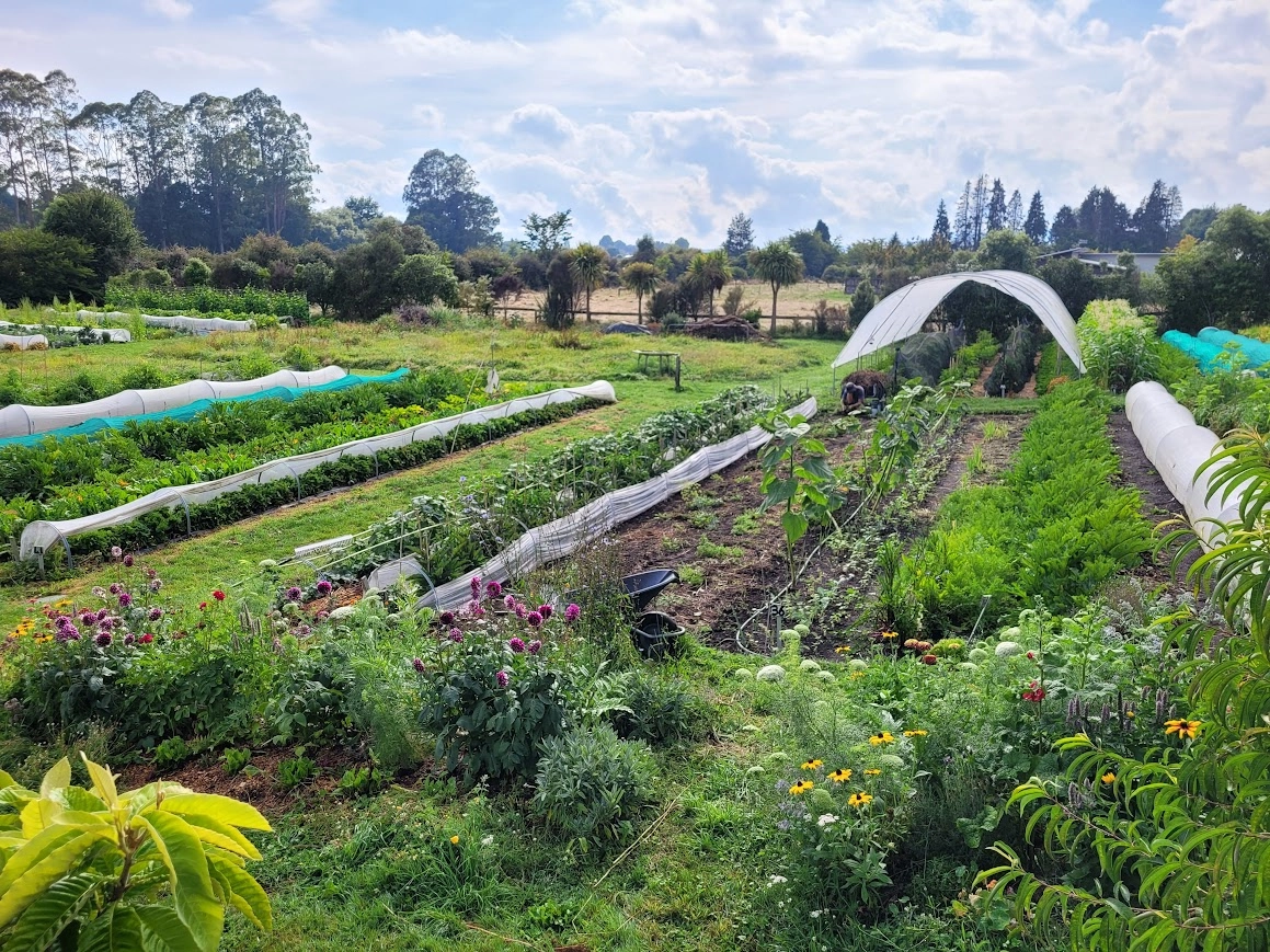 What is regenerative agriculture?