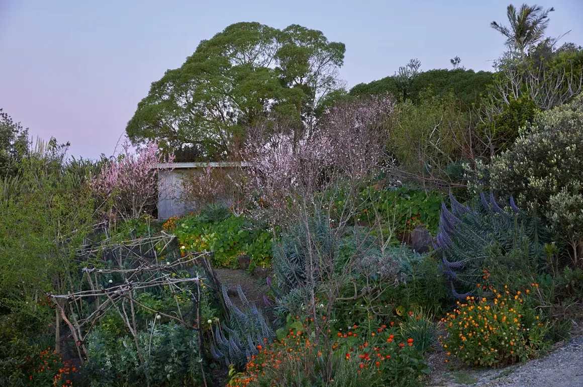 Earthworkers Founder - Sarah Smuts-Kennedy HOME
