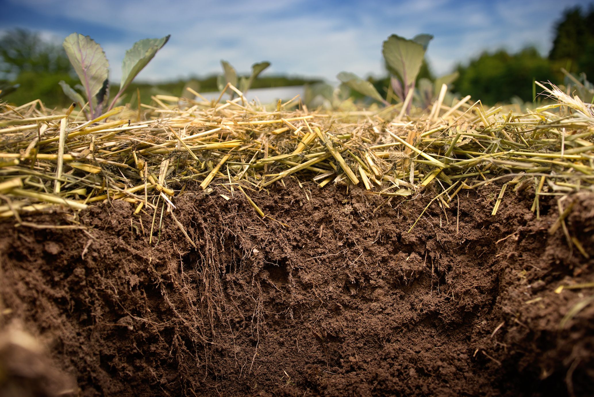 Fertility Sovereignty — Rethinking Nitrogen in a Changing World