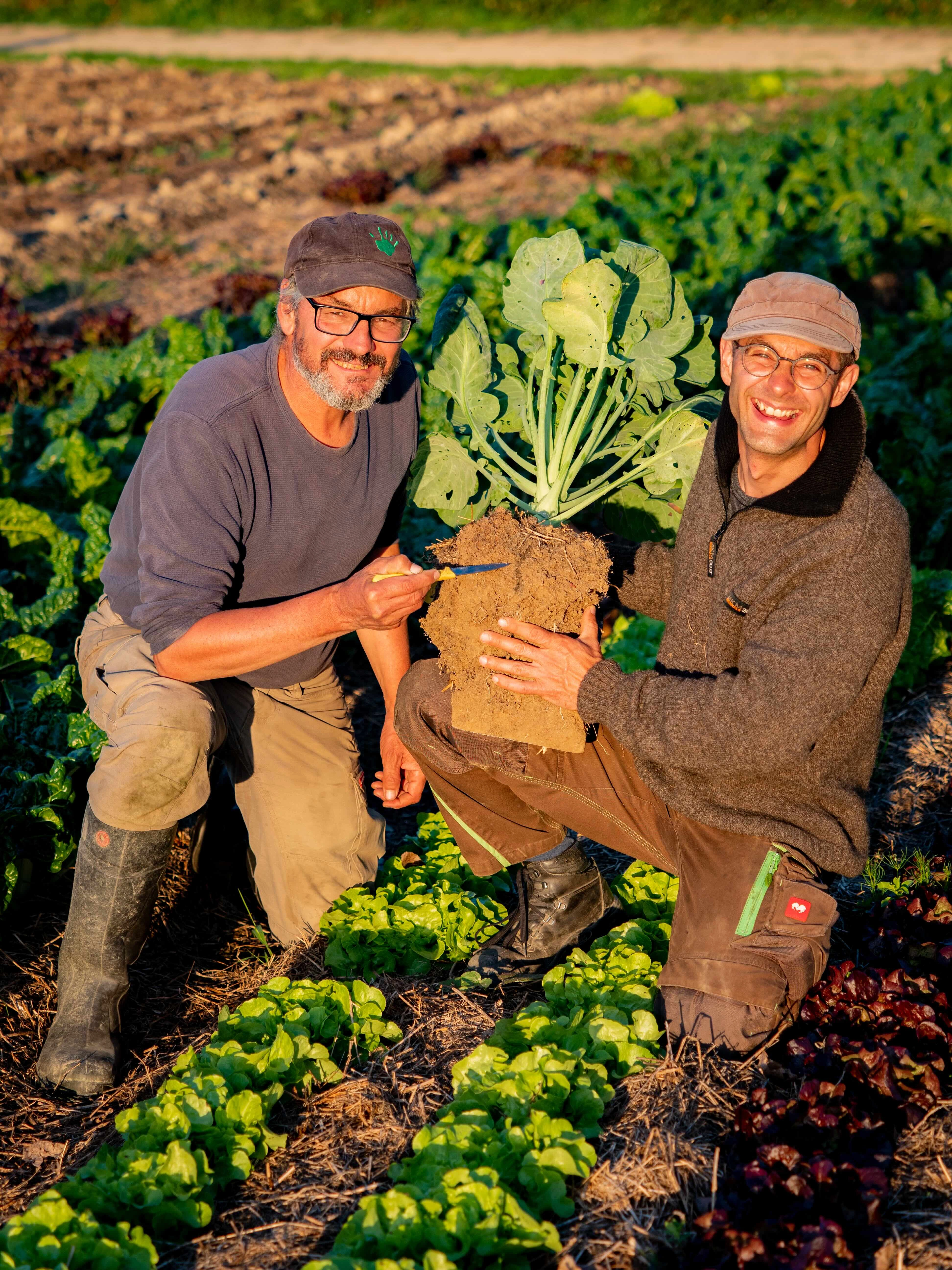 Live to give structure