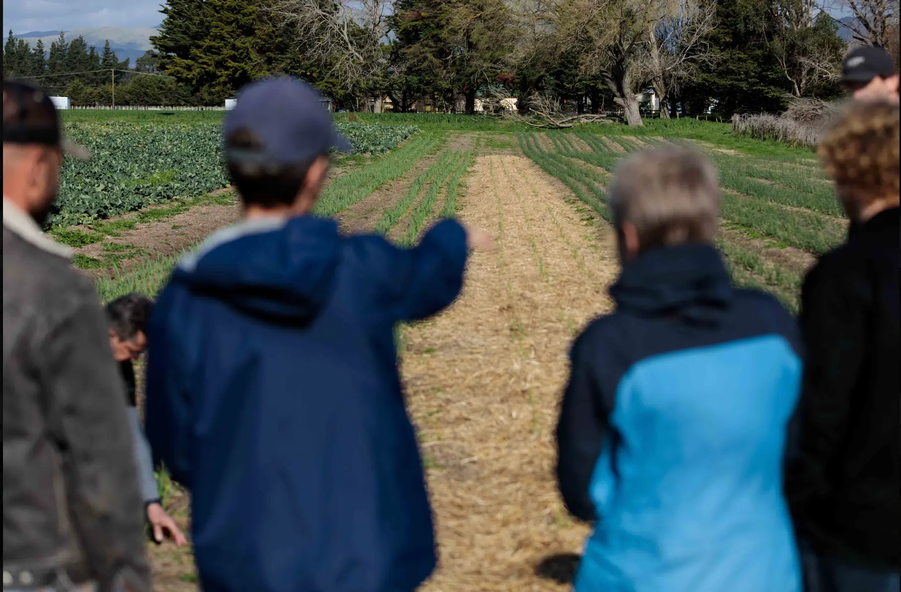 Future Agronomists - Palmerston North/Te Papa-i-Oea