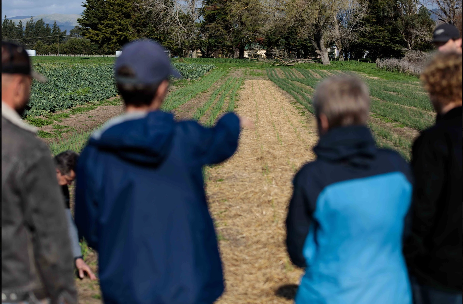 Future Agronomists - Palmerston North/Te Papa-i-Oea