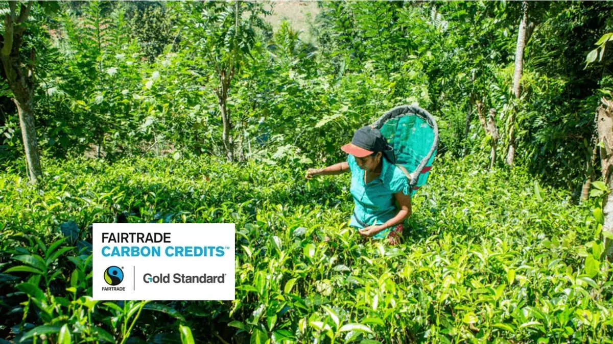CHOOOSE becomes first Fairtrade Carbon Credit distributor out of Norway