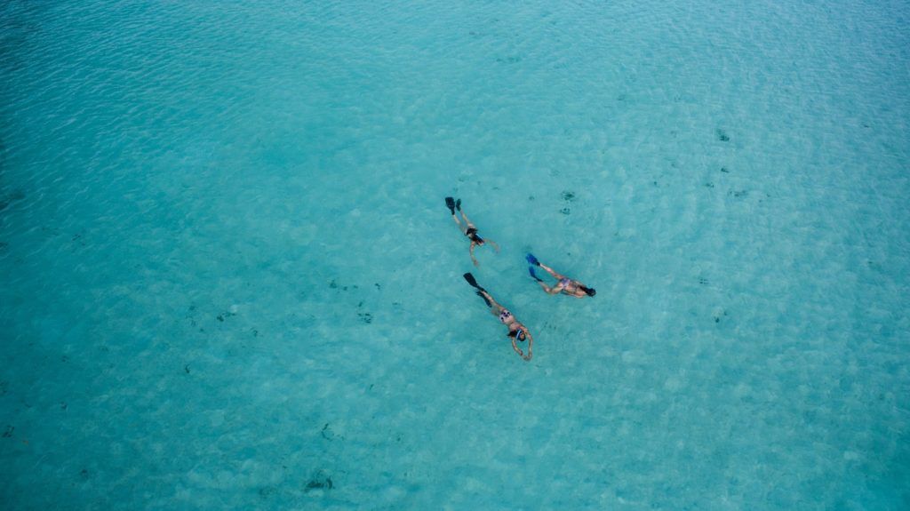 Clean coral & climate-friendly sunscreens