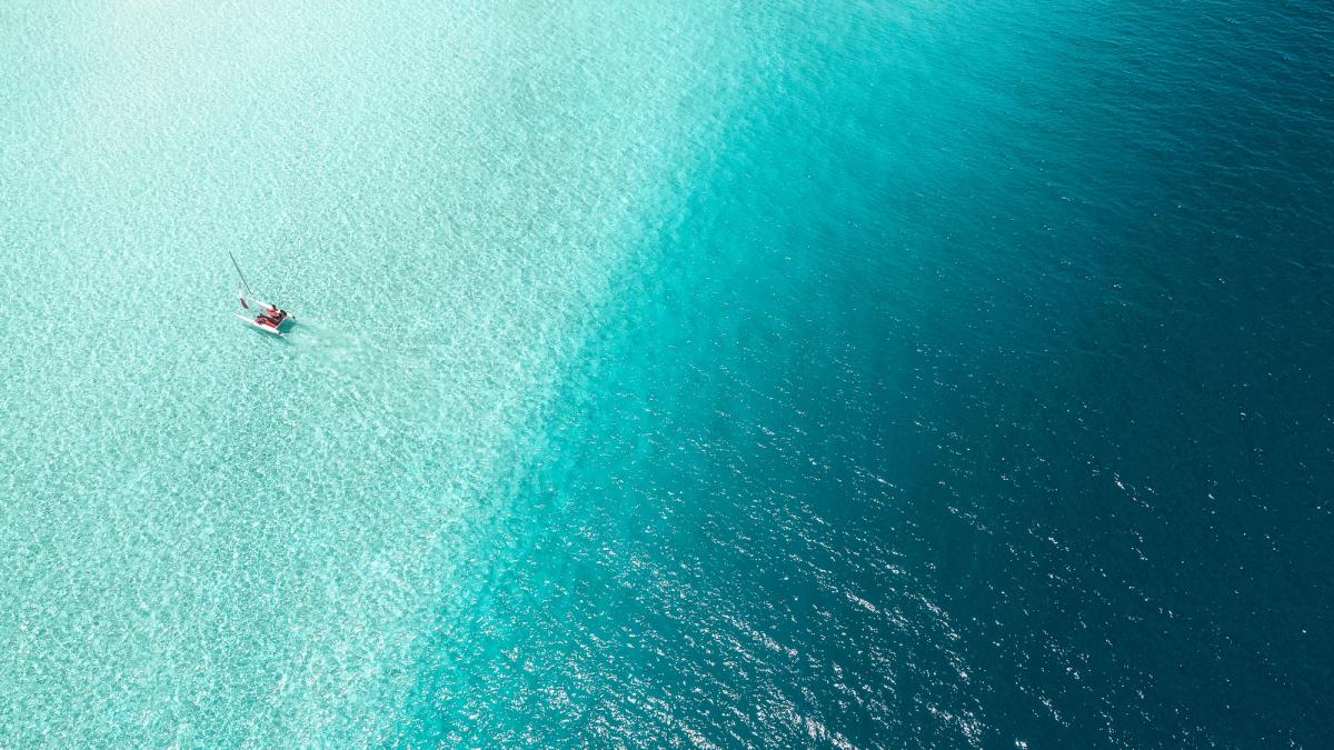 5 must-watch environmental movies on Netflix