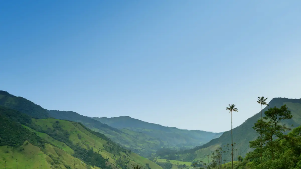 Avianca's customers will be able to offset their travel carbon footprint through alliance with CHOOOSE