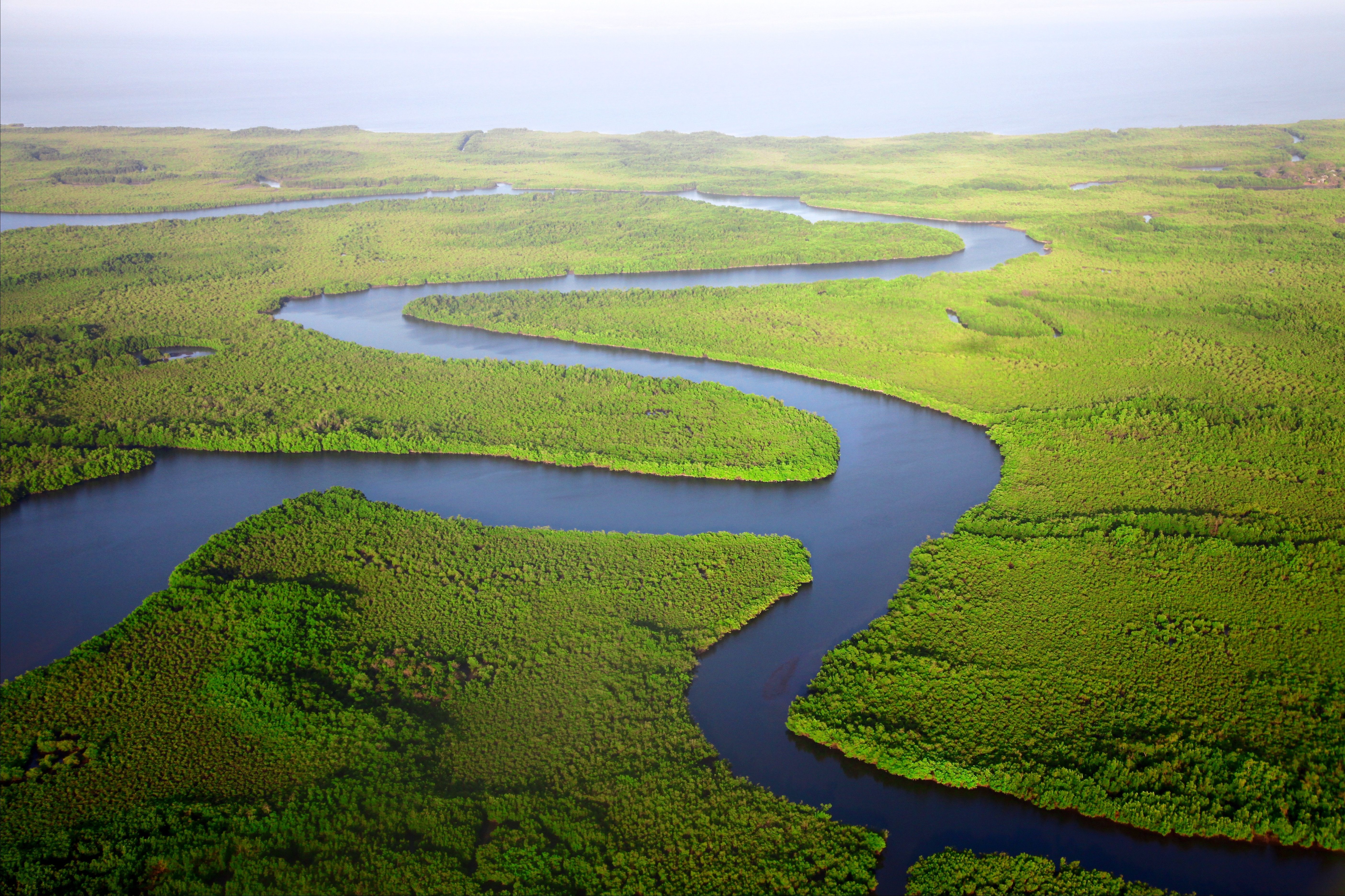 A resilient planet - what does it mean?