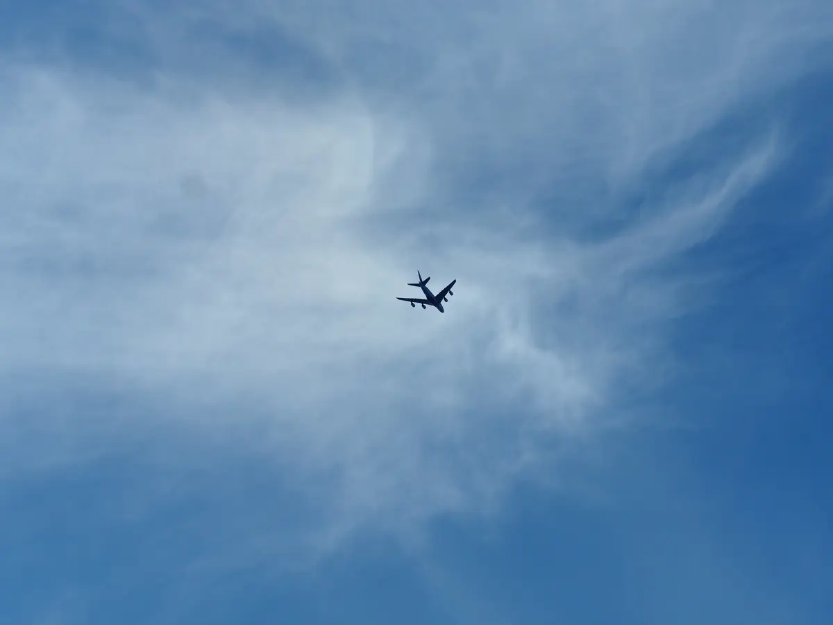How you can support the sustainable aviation fuel revolution