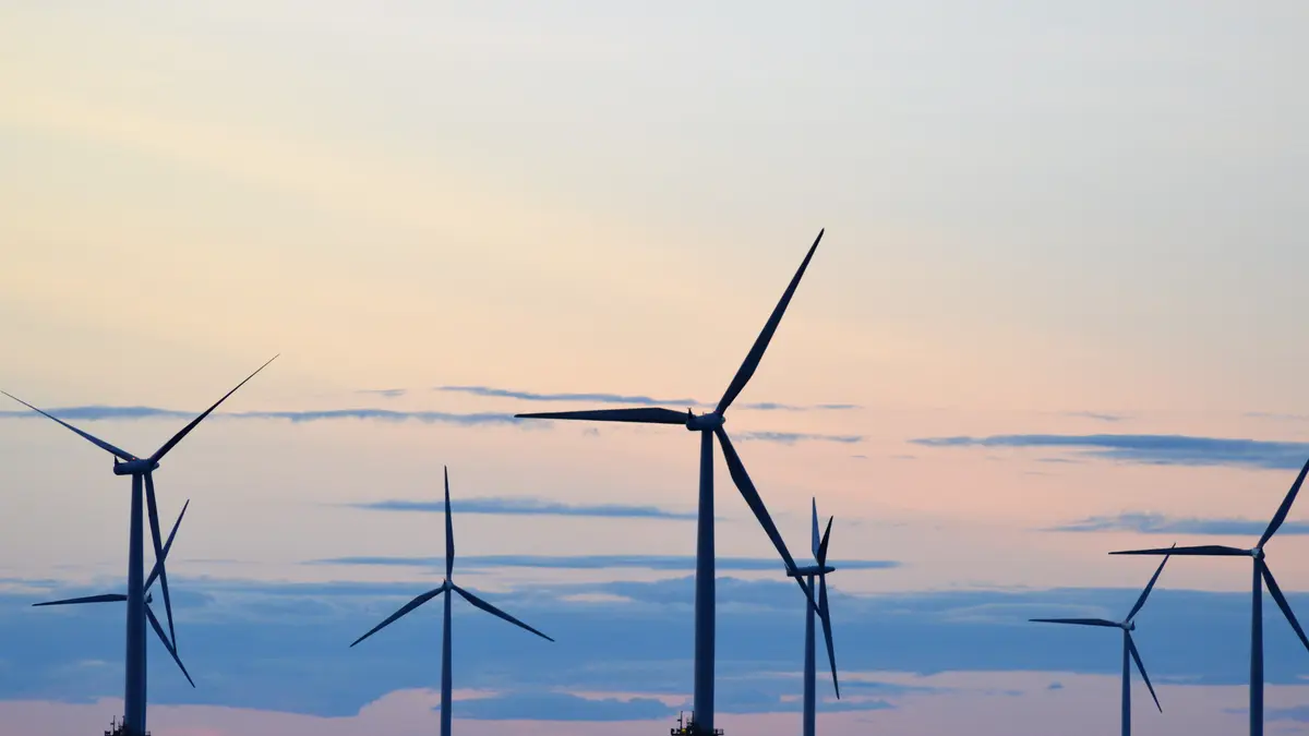 The rise of renewables: top renewable energy solutions and how to support them