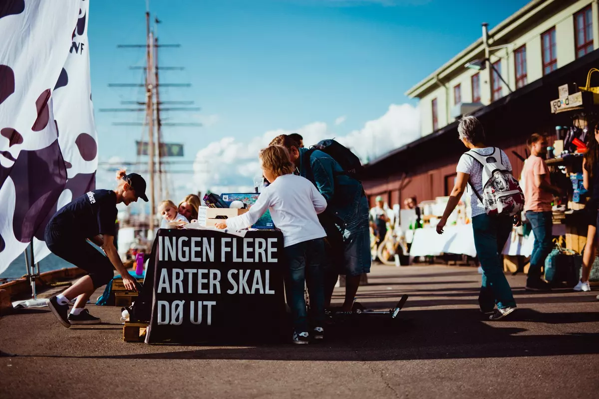 Our kind of festival