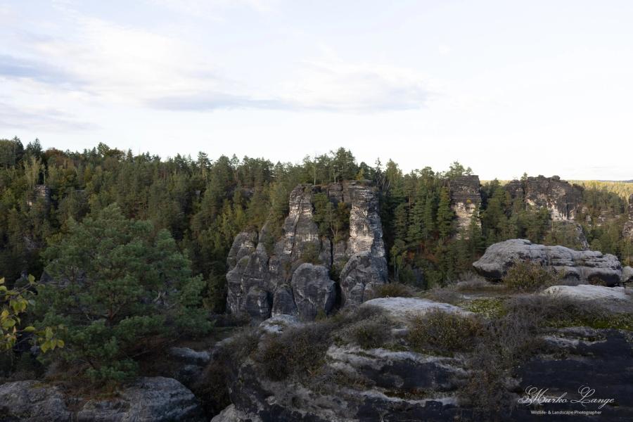Felsnadeln zwischen Kiefern