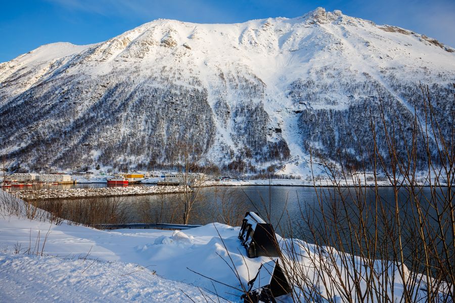 Hausberg über Husøy