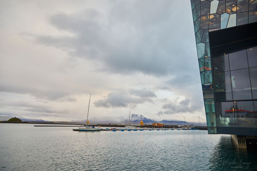 Harpa und der alte Hafen