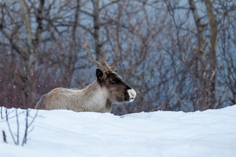 Hinter der Schneekante