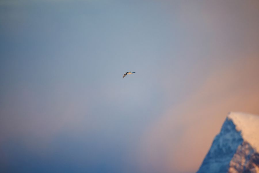 Begleitung auf See