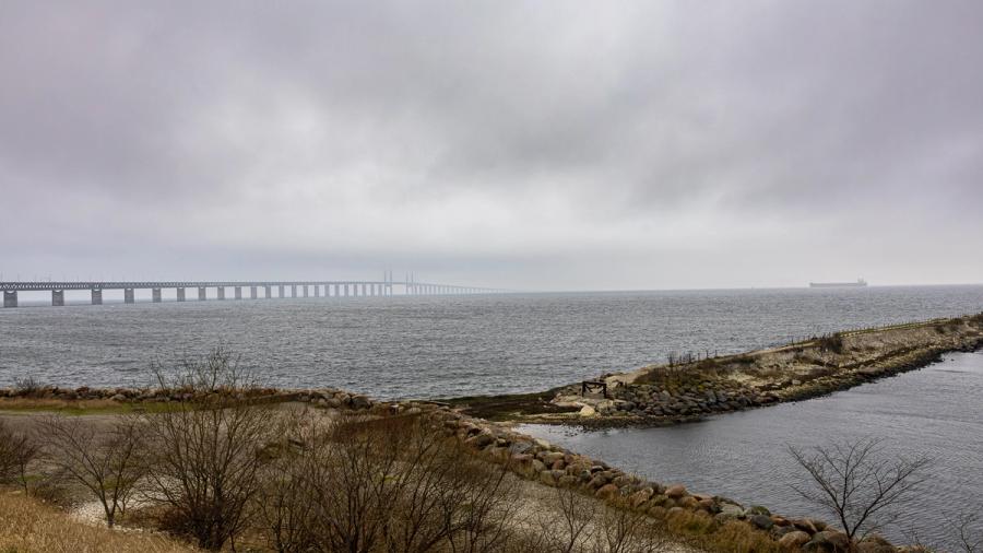 Küste am Öresund