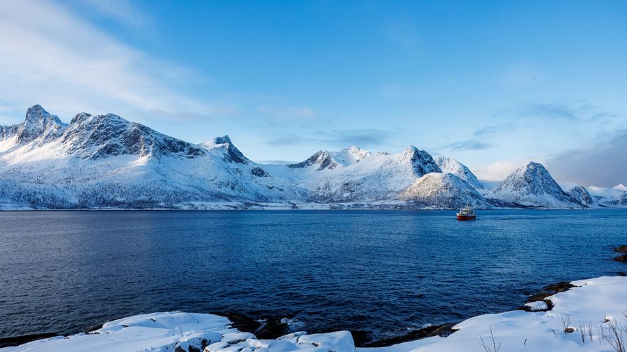 Panorama über den Øyfjord