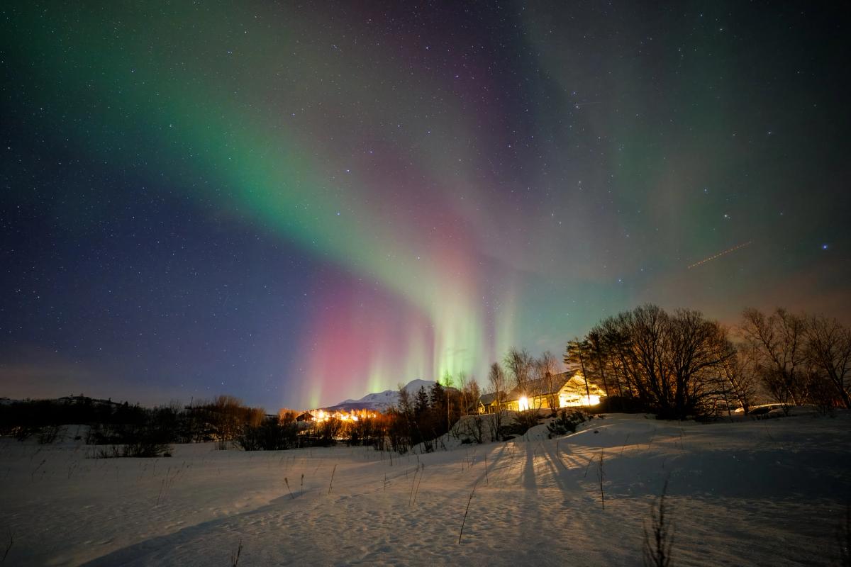 Grün-violettes Polarlicht spannt sich über den verschneiten Fjord bei Frovåg auf Senja, im Vordergrund ein rotes Holzhaus.
