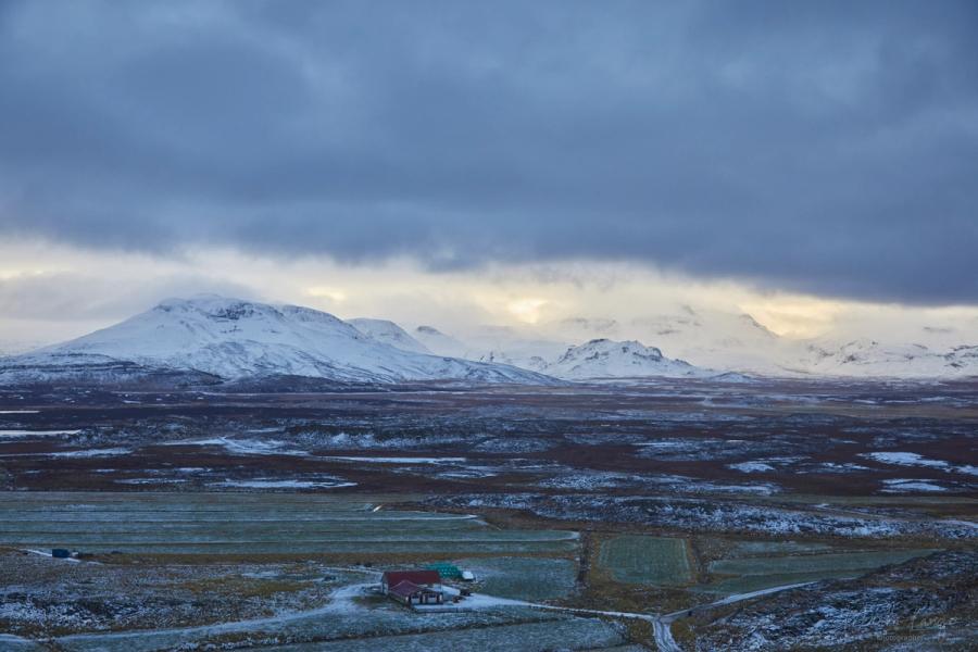 Weites Grasland im Winter