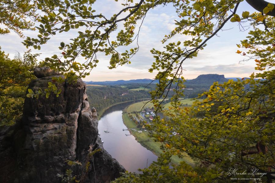 Elbtal mit Lilienstein durch Buchenlaub