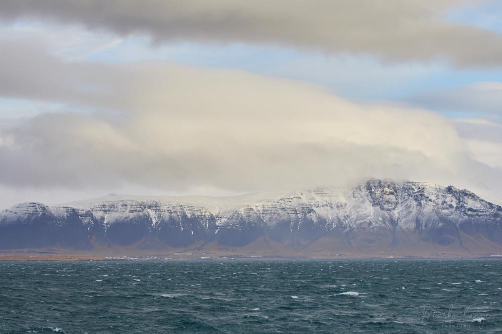 Der schneebedeckte Hausberg Esja mit Wolkenband über den Hängen, davor die dunkelblaue, windbewegte See.