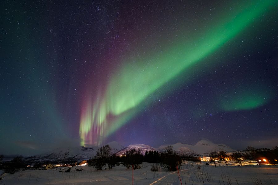 Polarlicht über dem Fjordufer