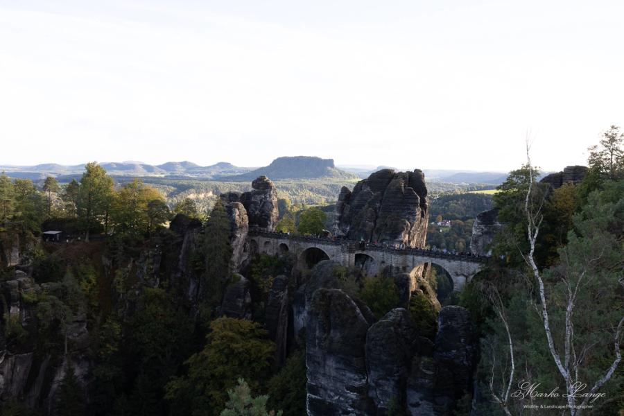 Basteibrücke im Nachmittagslicht