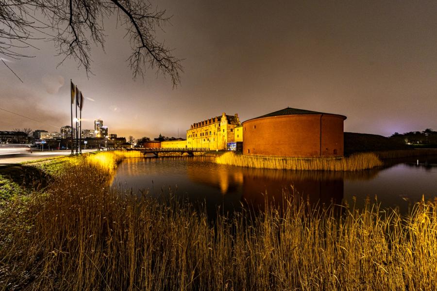 Malmöhus im Schilf