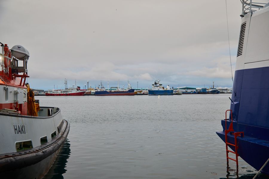 Im Fischereihafen von Reykjavík