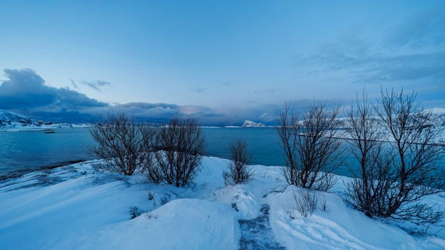 Blaue Stunde über der Bucht