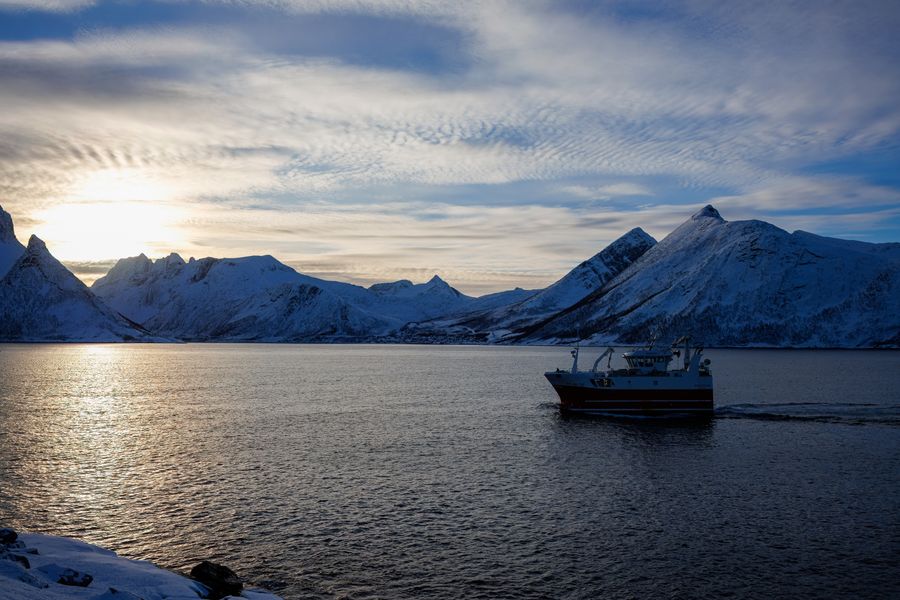 Gegenlicht über Husøy