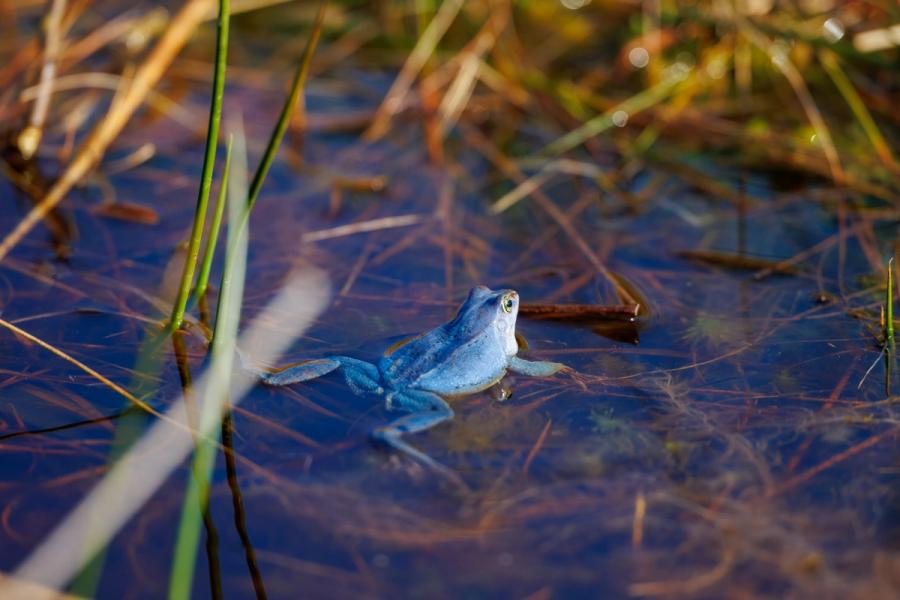 Tief am Wasser