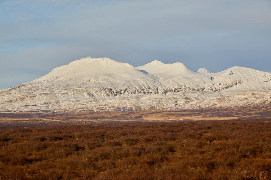 Moosbedeckte Lava in Þingvellir