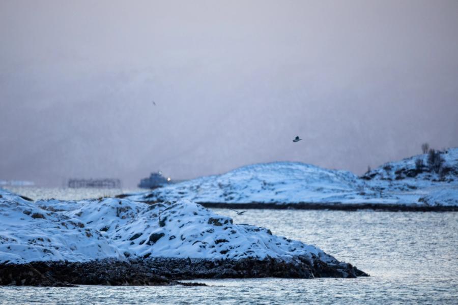 Schneeböe über der Insel