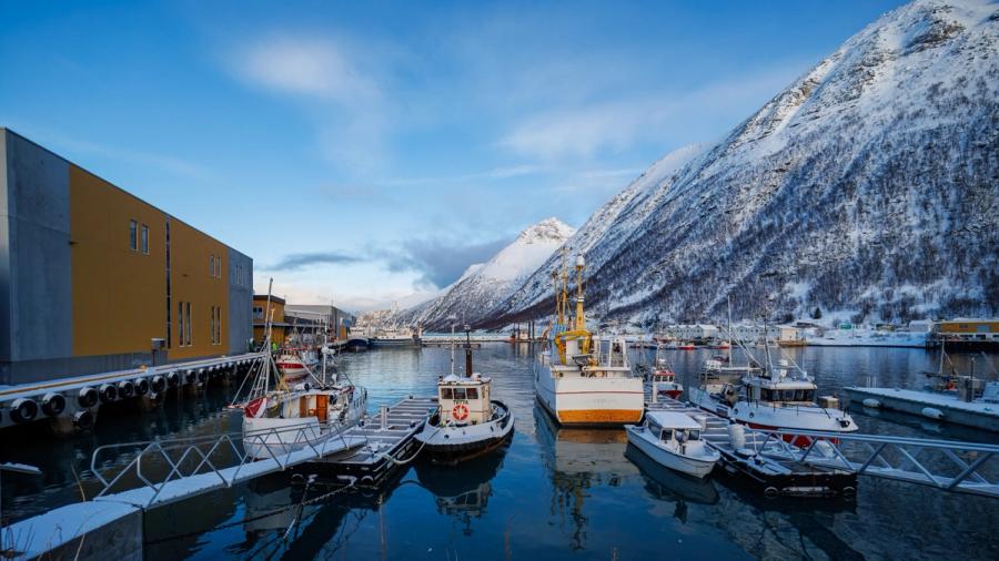 Hafen von Husøy