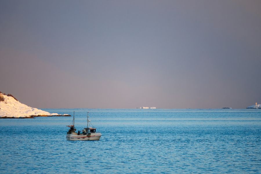 Allein auf dem Fjord