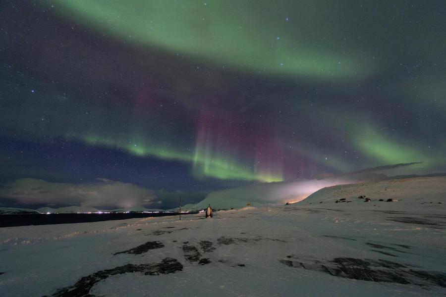 Polarlicht über dem Fjord
